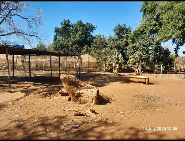 8.60HA FARM FOR SALE IN ONDERSTEPOORT